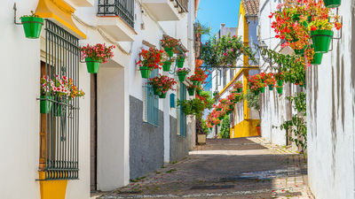 Spain Reopening COVID19