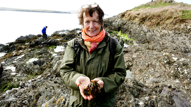 Julia Horton-Mansfield, co-founder of local operator Wild About Pembrokeshire in Wales, holding seaweed Julia Horton-Mansfield, co-founder of local operator Wild About Pembrokeshire in Wales, holding seaweed