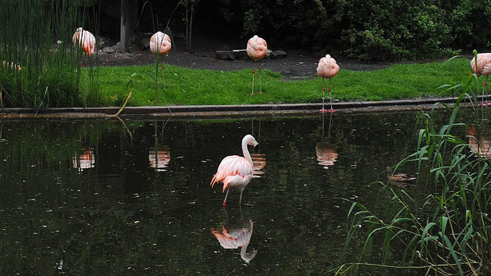 ZookeepersWifeWarsawFt2