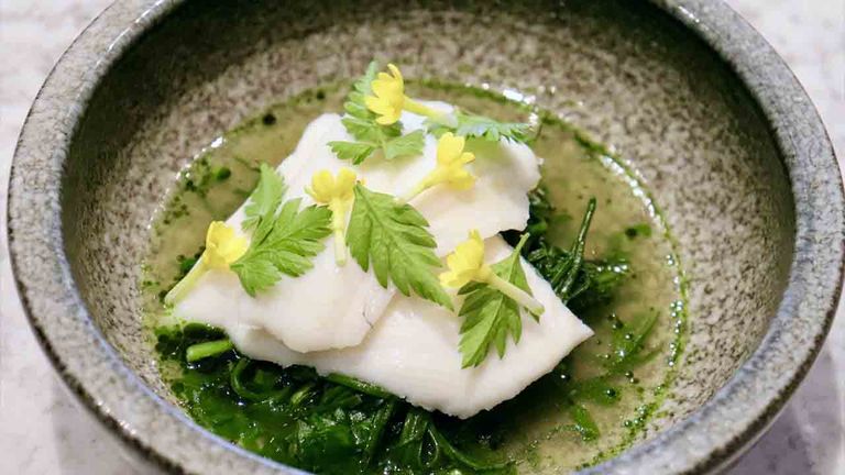 brightonwhattoeat