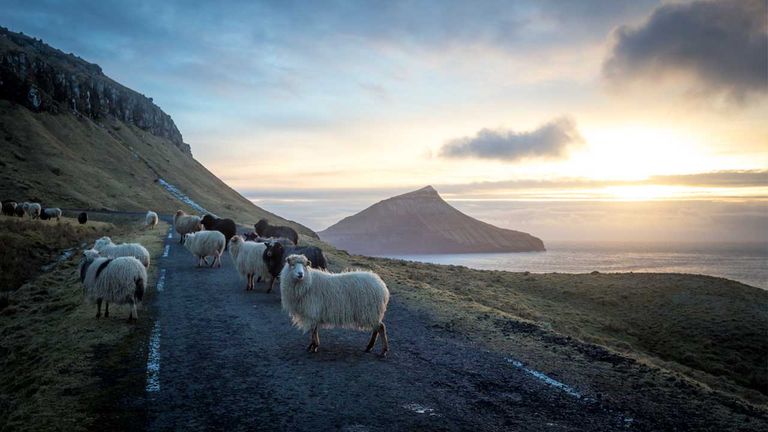 faroeislandsdenmark