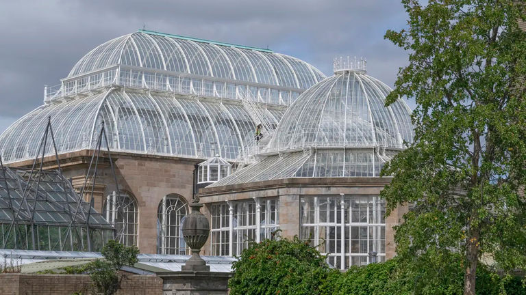 The Palm Houses are currently being restored to conserve and share their botanical collection with visitors.