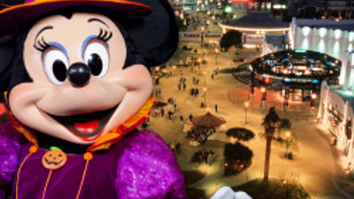 Making Memories at Walt Disney World