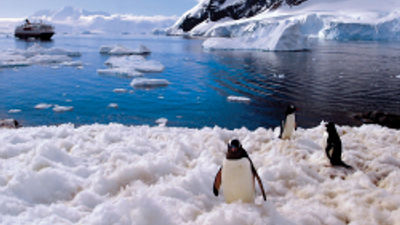 Learn About Antarctica With Hurtigruten's Young Explorers Program