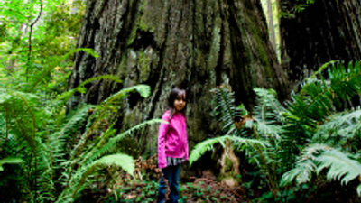 Celebrate the National Parks With Intrepid Travel