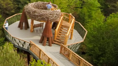 High Line Fans: Try Wild Center's 'Wild Walk'