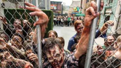 'The Walking Dead' Takes Over Universal Studios Hollywood