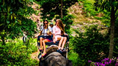 Big Five Tours Unveils New 'College Edition' Journeys
