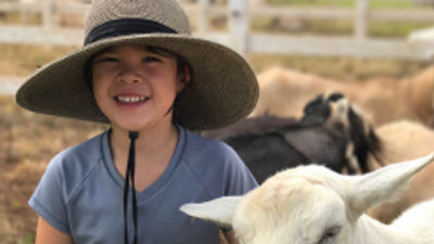 Surfing Goat Dairy Offers Family Fun