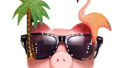 Animal Adventures in Honolulu