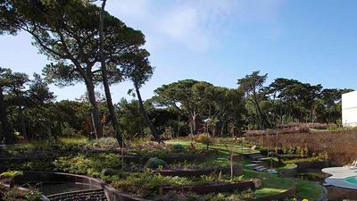 Martinhal Family Hotels & Resorts Lisbon