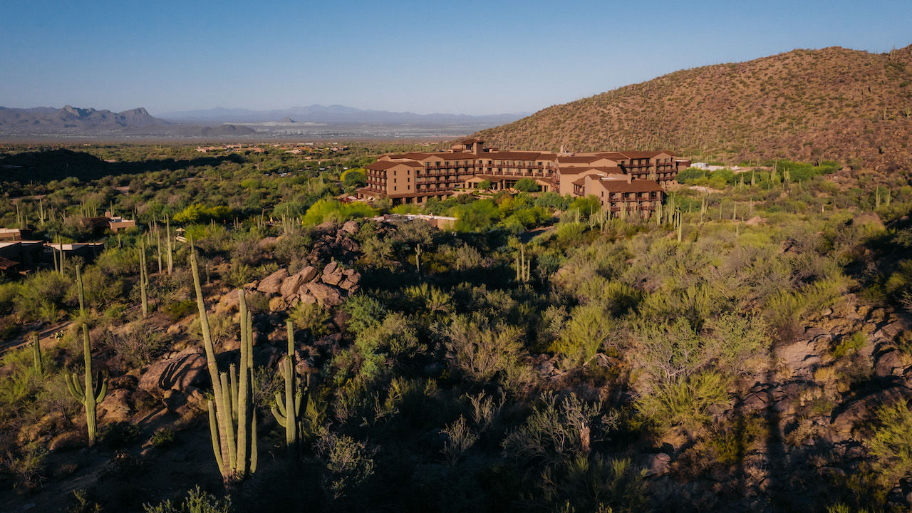 The Ritz-Carlton, Dove Mountain in Marana, Ariz., allows guests to experience the unique flora and fauna of the Sonoran Desert.