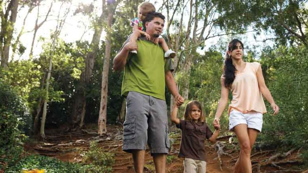 The Royal Coconut Coast features hiking trails for the whole family. // © 2013 Gelston Dwight 3