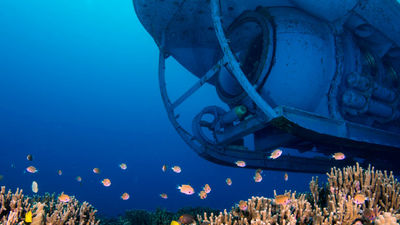 Atlantis Submarines explores the ocean floor in eco-friendly vessels. // © 2014 Atlantis Adventures 2