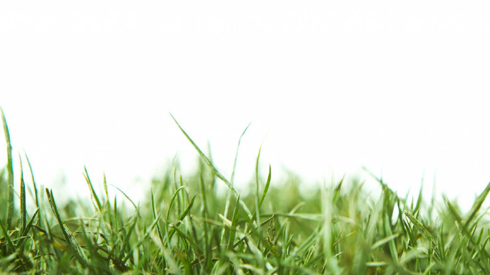 Golf courses are broadening their offerings. // © 2015 Thinkstock 2
