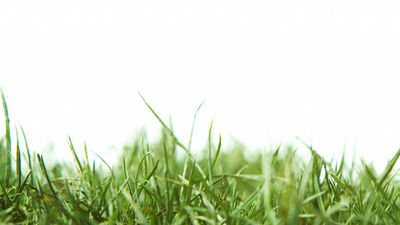 Golf courses are broadening their offerings. // © 2015 Thinkstock 2