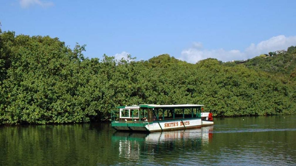 The peaceful Fern Grotto tour from Smith’s Kauai takes guests along Wailua River. // © 2016 Smith’s Kauai 2