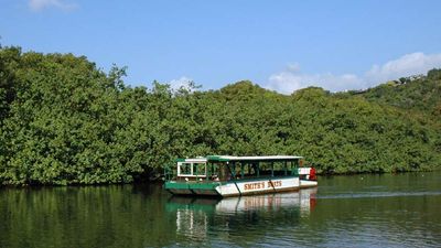 The peaceful Fern Grotto tour from Smith’s Kauai takes guests along Wailua River. // © 2016 Smith’s Kauai 2
