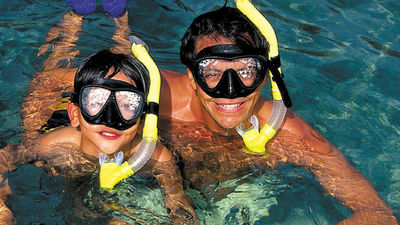 Lanai snorkelers might get lucky and see a wild dolphin. // © 2016 Four Seasons Hotels & Resorts