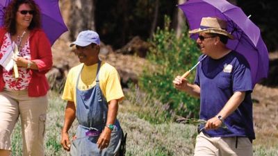 A walking tour of the Alii Kula Lavender Farm // © 2013 J. Anthony Martinez 3