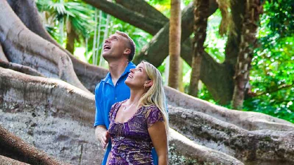 At Kauai’s Allerton Garden, visitors can see the Moreton Bay fig trees featured in “Jurassic Park.”Bottom: A screen shot of the film on location. // © 2013 HTA/Tor Johnson 2