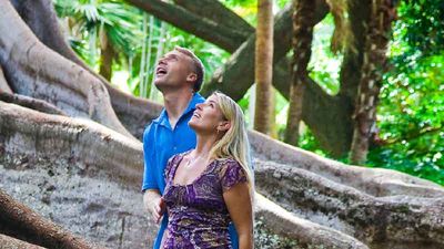At Kauai’s Allerton Garden, visitors can see the Moreton Bay fig trees featured in “Jurassic Park.”Bottom: A screen shot of the film on location. // © 2013 HTA/Tor Johnson 2