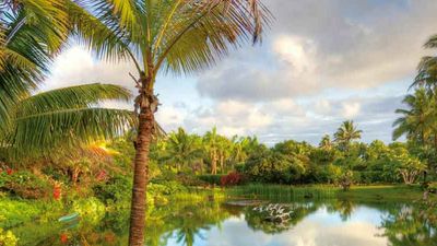 Na Aina Kai Botanical Gardens spans 240 acres on Kauai’s north shore. // © 2014 Na Aina Kai Botanical Gardens 2