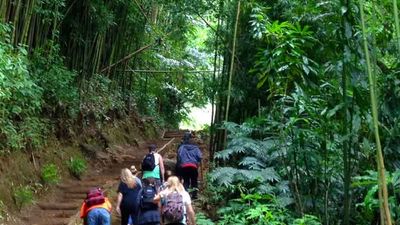 Oahu Nature Tours guides visitors through the island’s unique terrain. // © 2014 Judy M. Zimmerman 2