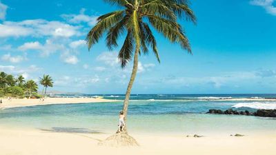 Kauai lays claim to 50 miles of white-sand beaches, such as Poipu Beach. // © 2014 Kauai Visitors Bureau