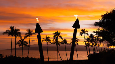 The Hawaii Tourism Authority Board Has Resigned