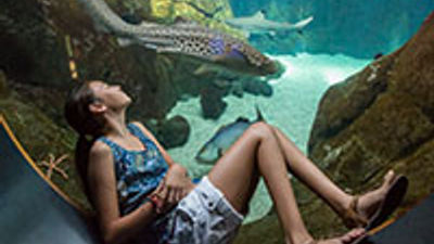 O'ahu for Families: Targeted Marketing Strategies