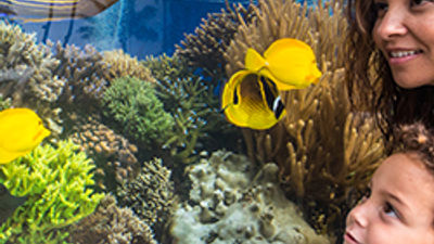 Enriching Multi-Generational Family Travel in Oahu