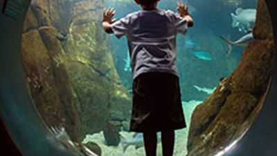 What's New on Oahu for Families