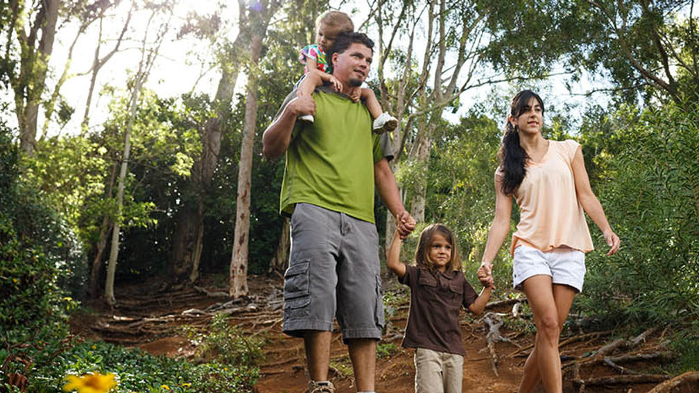 BestKauaiHikes_FEATURE