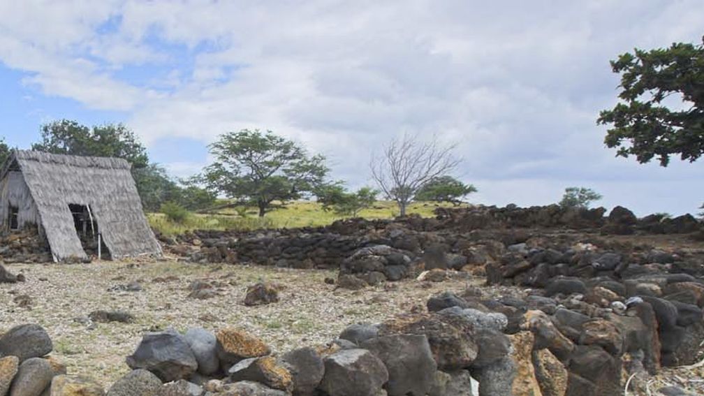 Every week the Kona Historical Society hosts a free demonstration on how to make traditional Portuguese bread. // © 2014 Kona Historial Society F
