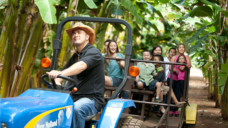 Kahuku Farms brings guests through groves of tropical fruits and vegetables during family-friendly tours.
