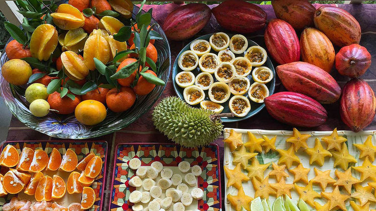 Garden Island Chocolate tours begin with a tasting of exotic fruits grown at the north Kauai farm.
