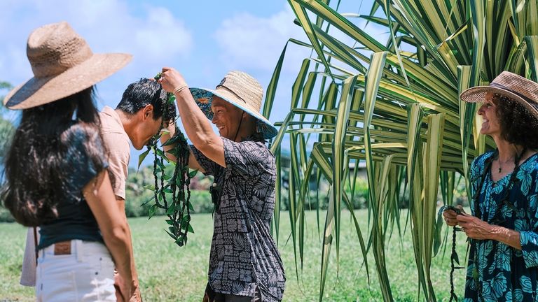 Most February 2026 travelers to Hawaii were making return visits.
