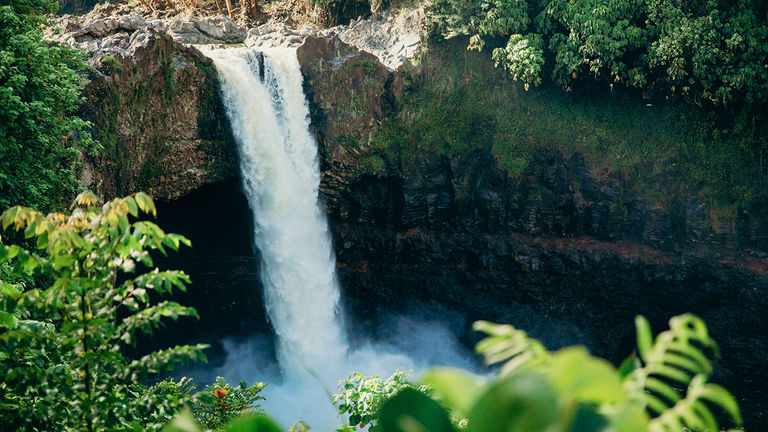 Hawaii Vax _PHOTO1