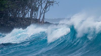 When the surf’s up, stay out of the water. // © 2018 IHVB/Dustin Lefevre