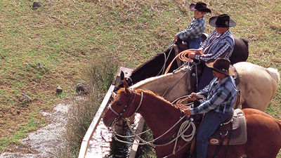 Hawaii’s “paniolo” tradition has been passed down to new generations. // © 2015 Hawaii Tourism Japan