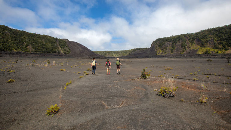 The awe-inspiring landscape of Hawaii Volcanoes National Park awaits clients who book KapohoKine Adventures' Thanksgiving Volcano Tour.