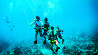 Feature image (above): On some snorkel cruises, clients can snuba, which requires no certification. // © 2018 Trilogy Excursions, Maui-Lanai