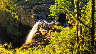 Clients are treated to one-of-a-kind views of Rainbow Falls courtesy of Hawaii Forest & Trail’s private viewing platform. // © 2015 Hawaii Forest & Trail
