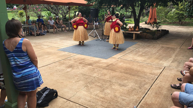 National Tropical Botanical Garden's free hula shows feature performers from a respected hula halau (troupe).