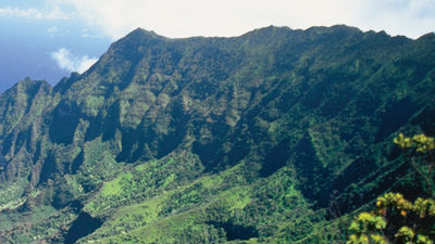 Enjoy the priceless view at Kalalau Lookout for free. // © 2013 HTA/Robert Coello 3