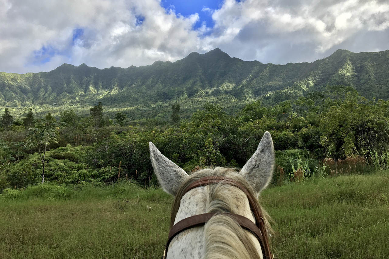 5 Reasons to Visit Kilauea, Kauai