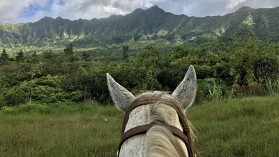 5 Reasons to Visit Kilauea, Kauai