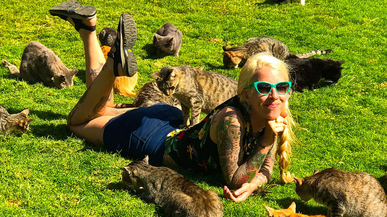 Lanai Cat Sanctuary invites visitors to relax with its furry residents.