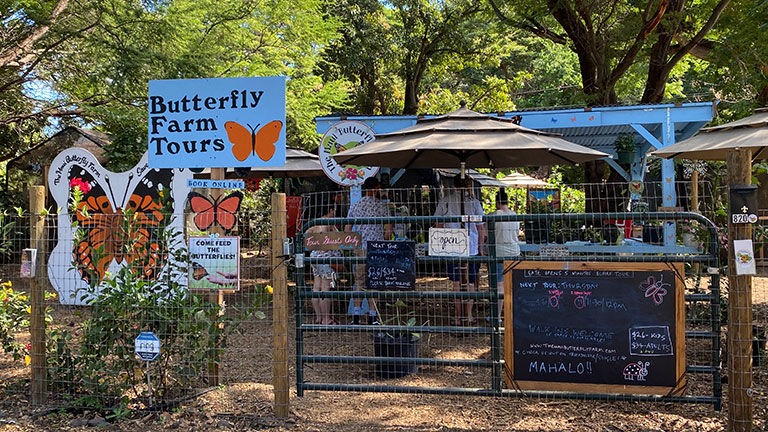 A 45-minute farm tour includes fascinating facts about butterflies and what’s needed to protect them.